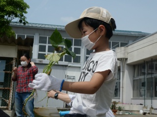 P1020010.jpg