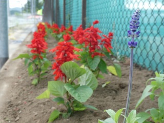 P1020090.jpg