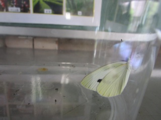 IMG_3803.jpg