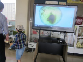 IMG_6078.jpg IMG_6078.jpg