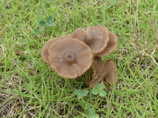 P1020154.jpg