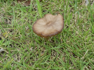 P1020153.jpg