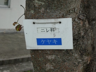 P1020156.jpg