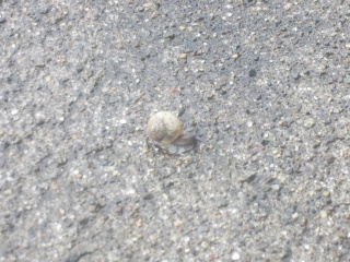IMG_6190.jpg IMG_6190.jpg