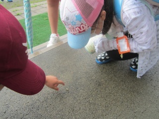 IMG_6189a.jpg IMG_6189a.jpg