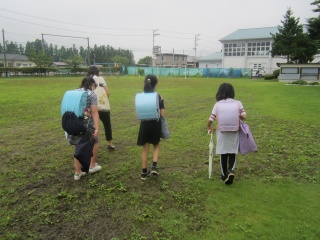 IMG_6237.jpg IMG_6237.jpg