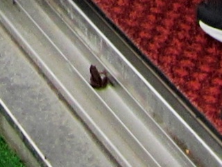 IMG_6297a.jpg IMG_6297a.jpg