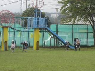 IMG_6844.jpg