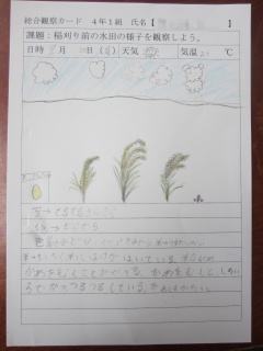 IMG_0742a.jpg