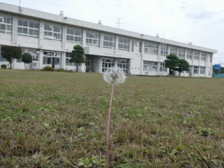 P1020847.jpg