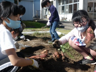 P1030199.jpg