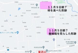 ץ쥼ơ1.jpg