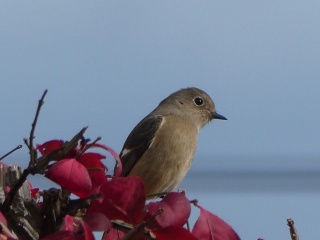 P1030343.jpg