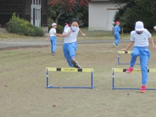 IMG_0880a.jpg