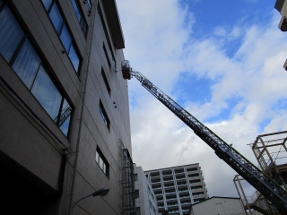 IMG_5413.jpg