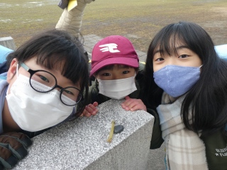 P1040287.jpg