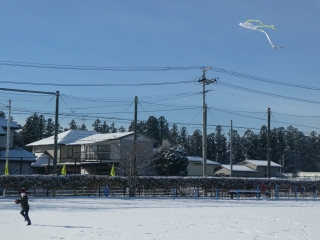 P1040567.jpg