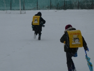 P1040617.jpg