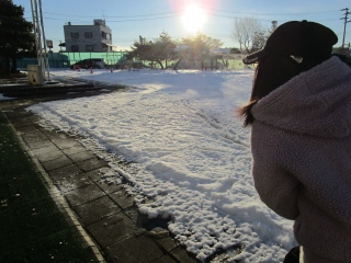 IMG_5617.jpg