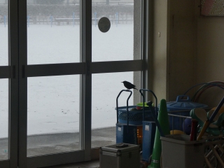 P1040680.jpg