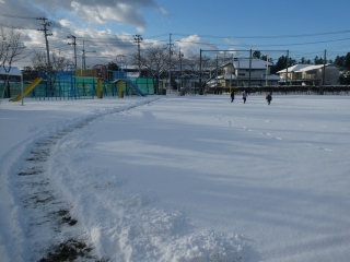 P1040901.jpg