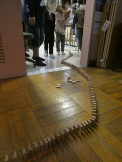 P1050009.jpg