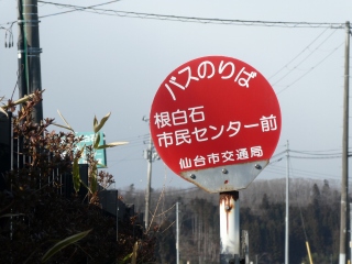 P1050296.jpg