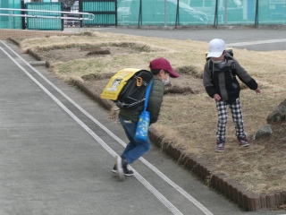 P1050374.jpg