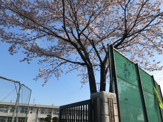 s-IMG_8290.jpg