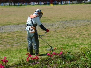 s-P1000149.jpg