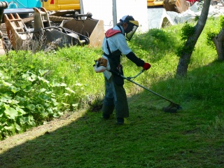 s-P1000206.jpg