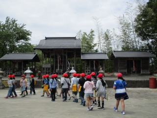 s-IMG_0773.jpg