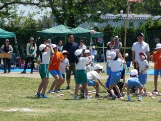 s-P1000518.jpg s-P1000518.jpg