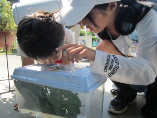 s-IMG_3200.jpg s-IMG_3200.jpg