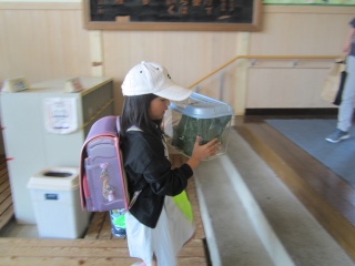 s-IMG_3202.jpg s-IMG_3202.jpg