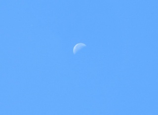IMG_3248.jpg