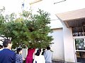 16akamatu.jpg