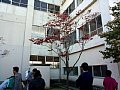 19hanamizuki.jpg