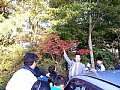 21nisikigi.jpg