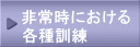펞ɂ eP