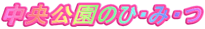 ̂ЁE݁E