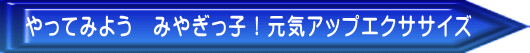 やってみよう　みやぎっ子！元気アップエクササイズ