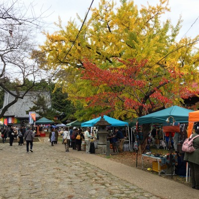 image2.jpg