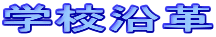 wZv