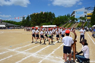 DSC_3703.jpg DSC_3703.jpg