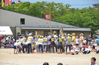 DSC_3753.jpg DSC_3753.jpg