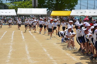 DSC_3835.jpg DSC_3835.jpg
