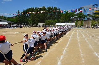 DSC_3893.jpg DSC_3893.jpg