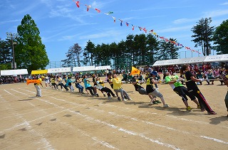 DSC_3933.jpg DSC_3933.jpg