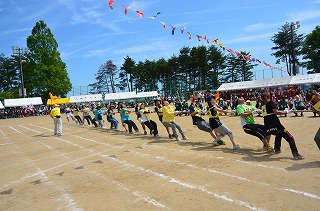 DSC_3934.jpg DSC_3934.jpg